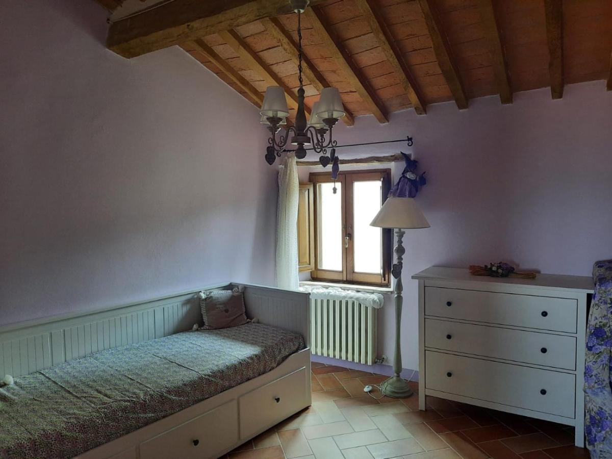Al Piccolo Ulivo, A Casa Di Mimo&Se Villa Castiglione d'Orcia Exterior photo