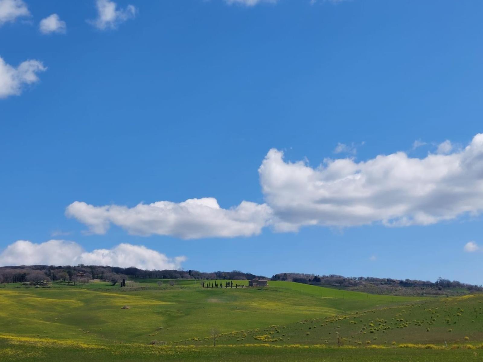 Al Piccolo Ulivo, A Casa Di Mimo&Se Villa Castiglione d'Orcia Exterior photo