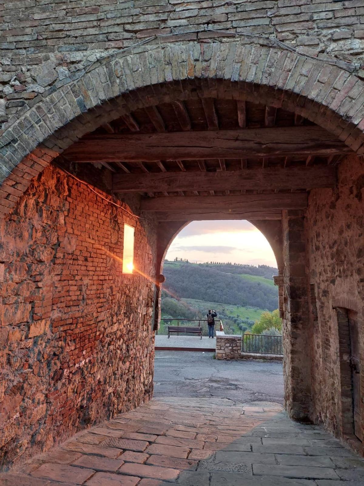Al Piccolo Ulivo, A Casa Di Mimo&Se Villa Castiglione d'Orcia Exterior photo
